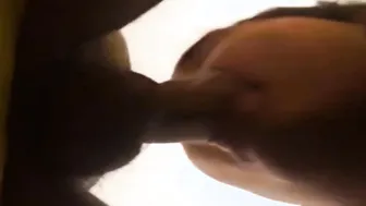 MAMA CACHORRA MAMA CACHORRA