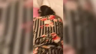 Fucking this Legal African 18 until she Can’t take it and Orgasm
