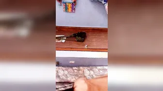 Mi puta zorra gozando de mi verga
