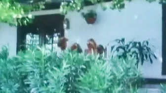 Pornstars from Oldies are Great while liking