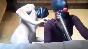 Bound Blinfolded and Ball Gagged then has to Suck a Huge Penis Hard Deeply