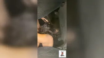 FULL Black Girls Suck Penis to Avoid any Action after Vehicle Accident Twitter @SwingLikeTarzan