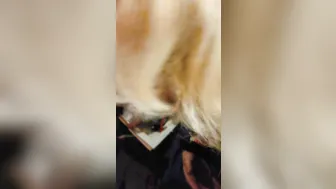 Blonde 19 Yo Loves to Drink Gigantic Penis till she Chokes