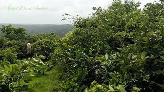 Perfect Boobs porn video – I Gives Head to a Stranger with Gigantic Dick Dangerous Outdoors Sex