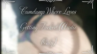 Cumdump Whore Loves gets Banged (Audio Only)