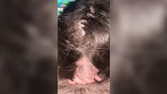 BBW Whore taking Penis like a Perfect women