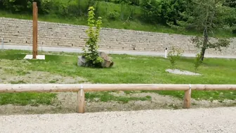 Stranger Dark Hair into the Outdoor Park Accepts to Fondle that Penis for $10. (Risky) PART one