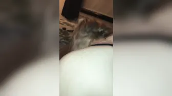 Pounding that Vagina