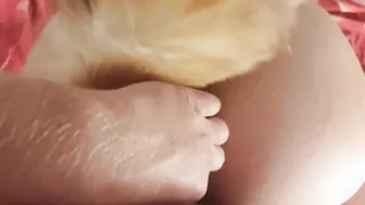 Anal Plug TAIL into first Time)