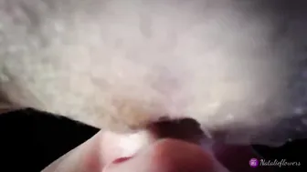 lick and suck cunt 0015
