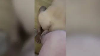 Chienne porn video – Je Fist Mon Soumis Avec Mon Pied
