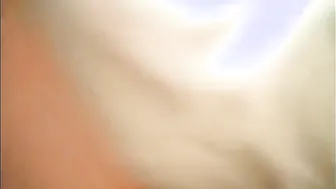 HD Analsex Doggy Style