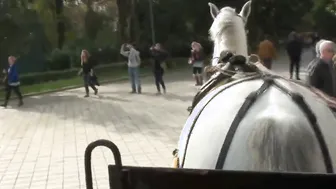 Une bonne bouffarde en caleche a voir 