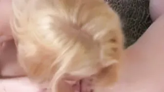 Plowed her Irresistible Blonde Face Bj and Jizzed Moment