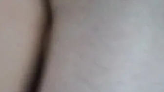 Compilation of everything with L