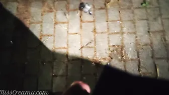 Penis flash chick caught me jerking off on street helped