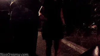 Penis flash chick caught me jerking off on street helped