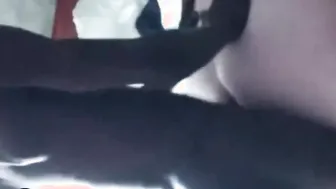 Interracial Swap Lovers have Fun with other Lovers