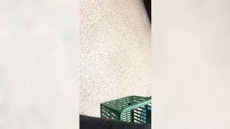 African Turned on by my Huge Ebony Dick Upskirt inside Florida Store