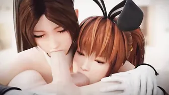 3D Compilation: Doa Honoka Ayane Mai Shiranui BunnyGirl Dess Uncensored Animated Dead or Alive