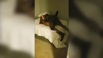 big black cock CUMMED