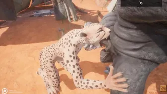 Wild Life / NEW Gulhragg with the Cheetah women