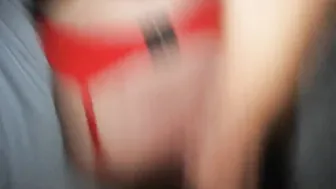 Sodomie brutale
