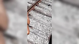 Piss Compilation porn video – White Daddy Made Me His Piss Whore