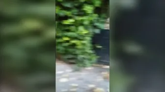 Sex n Bj into the Street with a Stranger