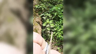 A Woodland Spanking