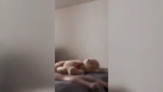 Bed Room porn video – Ducking my best Friends chick on their Roommates Bed.