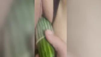 Huge Cucumber