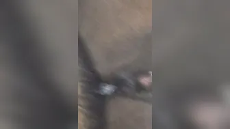 Creamy Anal Detroit