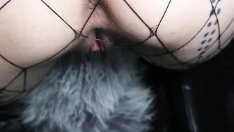 Daley South - Gothic Ass into Fishnets