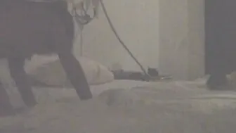 Resort Hotel Sex