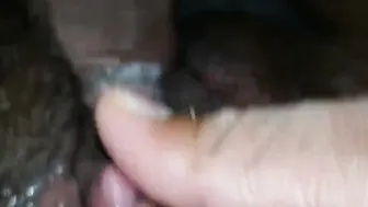 Trini fat snatch boned