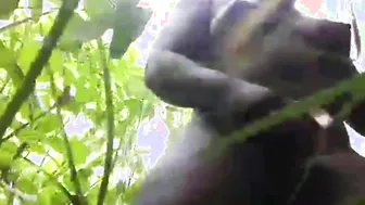 Cunt Pounded inside Ghannean Forrest