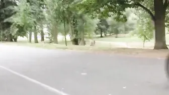 HUNT4K. Angry dude counts cash while hunter impales his lover