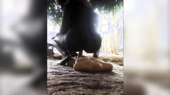 Outdoor Rides a Sex Dildo
