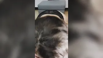 Tiktok BJ - HEY CUTIE I HAve been Thinking about SUCKING OFF your PENIS all DAY.