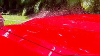 Dripping  Wild Outdoors Vehicle Wash (trailer) - GreyDesire69
