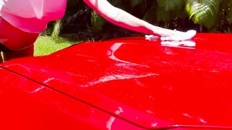 Dripping  Wild Outdoors Vehicle Wash (trailer) - GreyDesire69