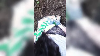 Mamada En El Bosque