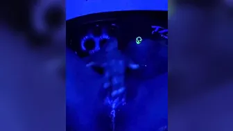 Cum Banged this Cunt Daddy