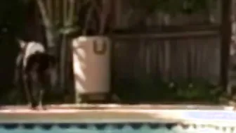Amateur Lovers Fooling around inside the Florida Pool