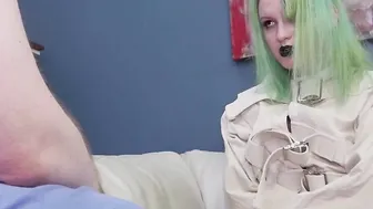 Wacky kitten was brought inside anal asylum for painful treatment