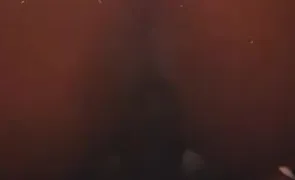 Ishmcfly