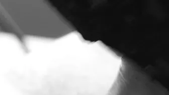 Beautiful Close-up Head