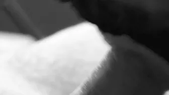 Beautiful Close-up Head