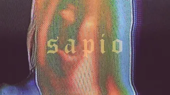 Jibun - Seagull